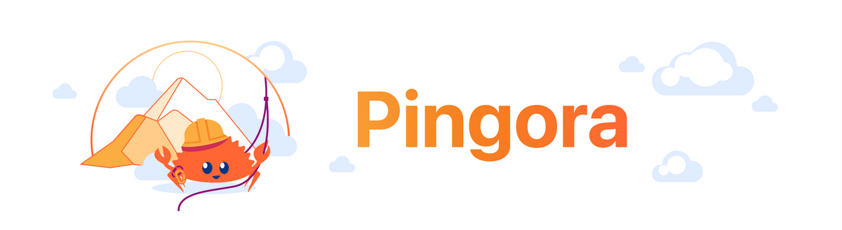 Pingora vs NGINX: Uma Análise do Novo Proxy Server da Cloudflare